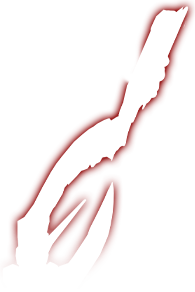 arm